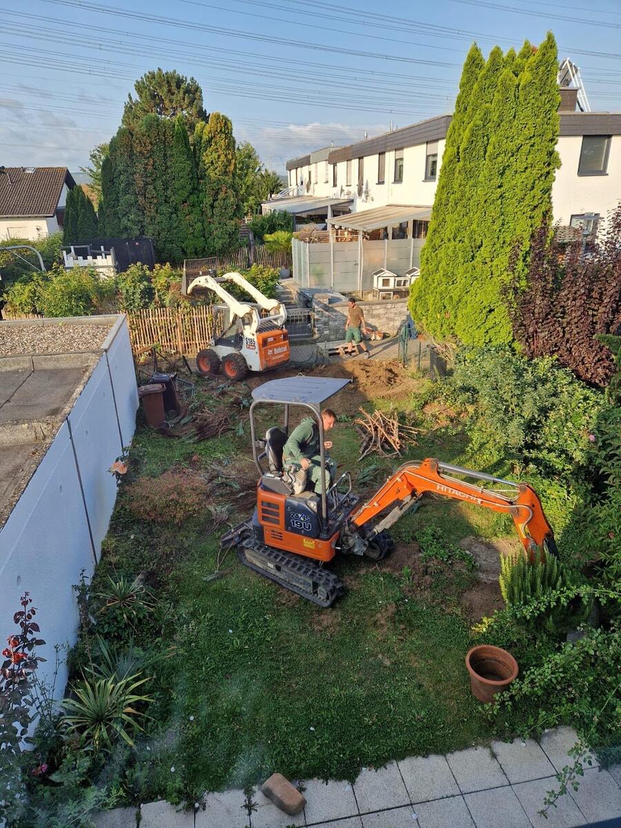Minibagger und Kompaktlader beim Abtragen eines alten, verwilderten Gartens