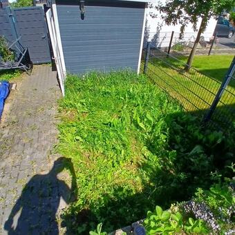 Vorher: verwilderte Wiese neben einem Gartenhaus